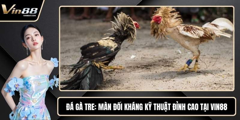 Đá Gà Tre - Màn Đối Kháng Kỹ Thuật Đỉnh Cao Tại VIN88