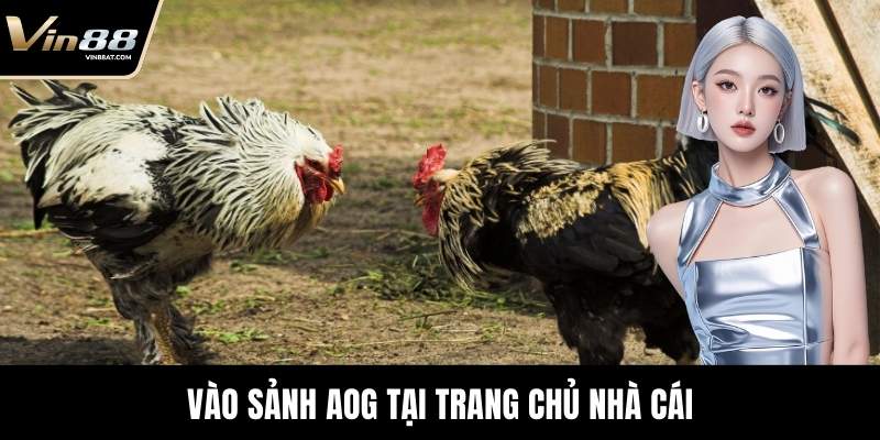 Vào sảnh AOG tại trang chủ nhà cái